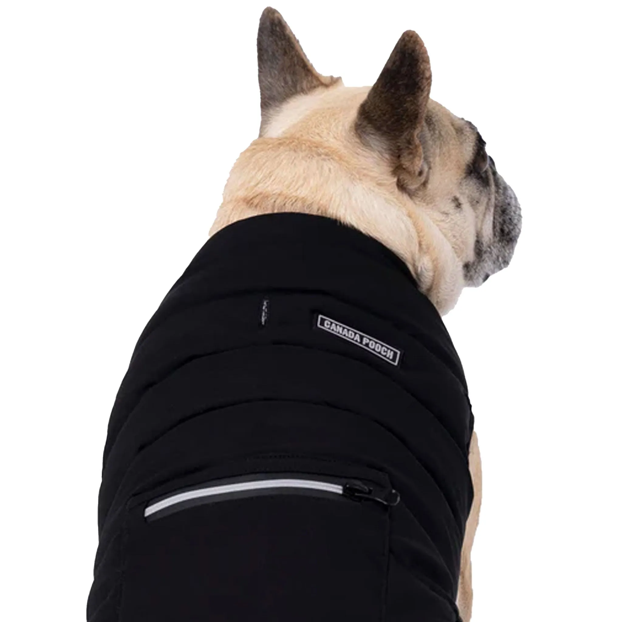 Canada Pooch Ultimate Stretch Vest - Black