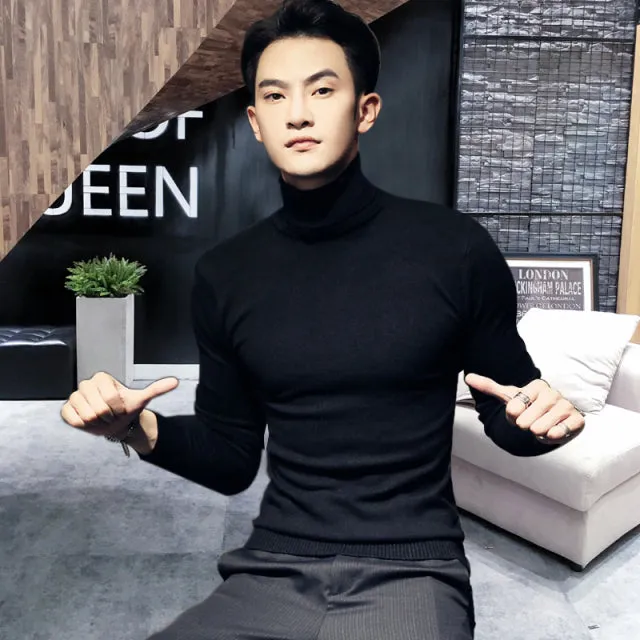 Casual Knit Turtle Neck