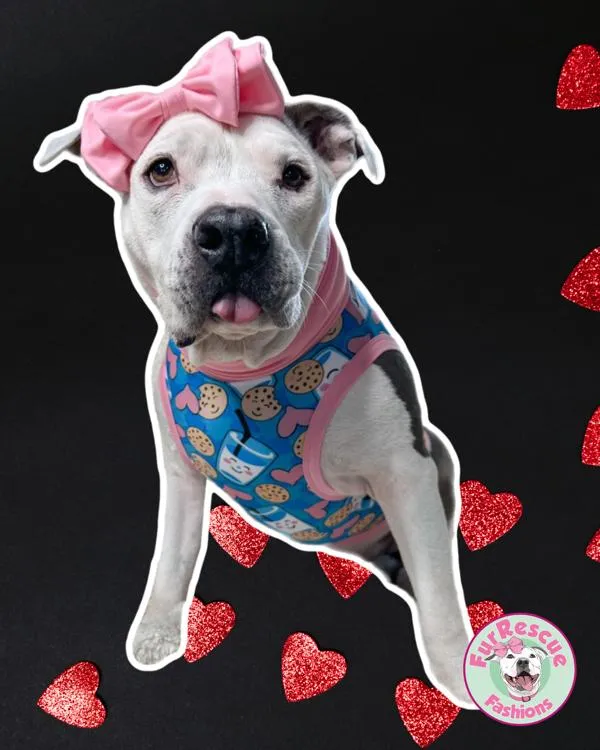 Cookies For Cupid - PAWjama with Pink Neck & Trim/Sleeves