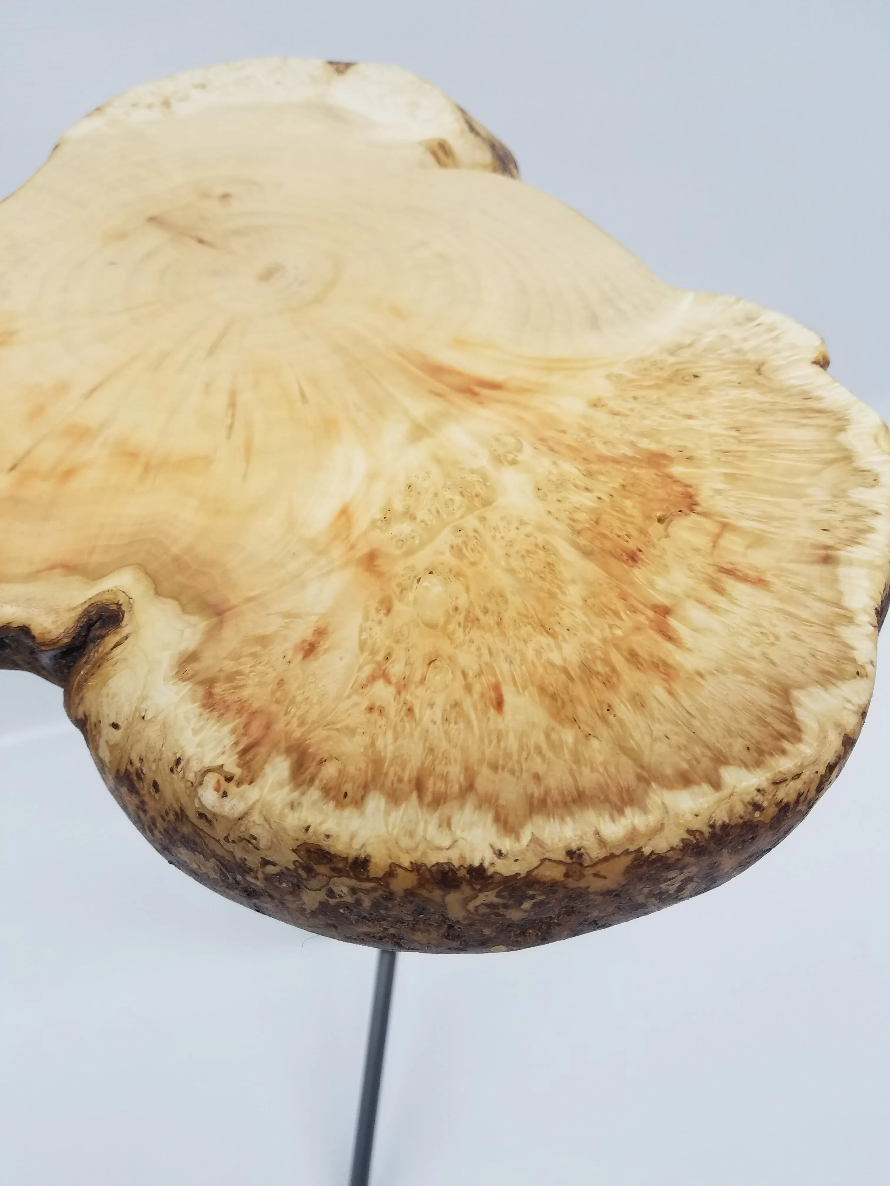 End Table- Side Table- Plant Stand- Maple Burl- Tree Slice- Live Edge- Natural Wood- Industrial- Mid Century- Cool Table- Gold- Red- Unique