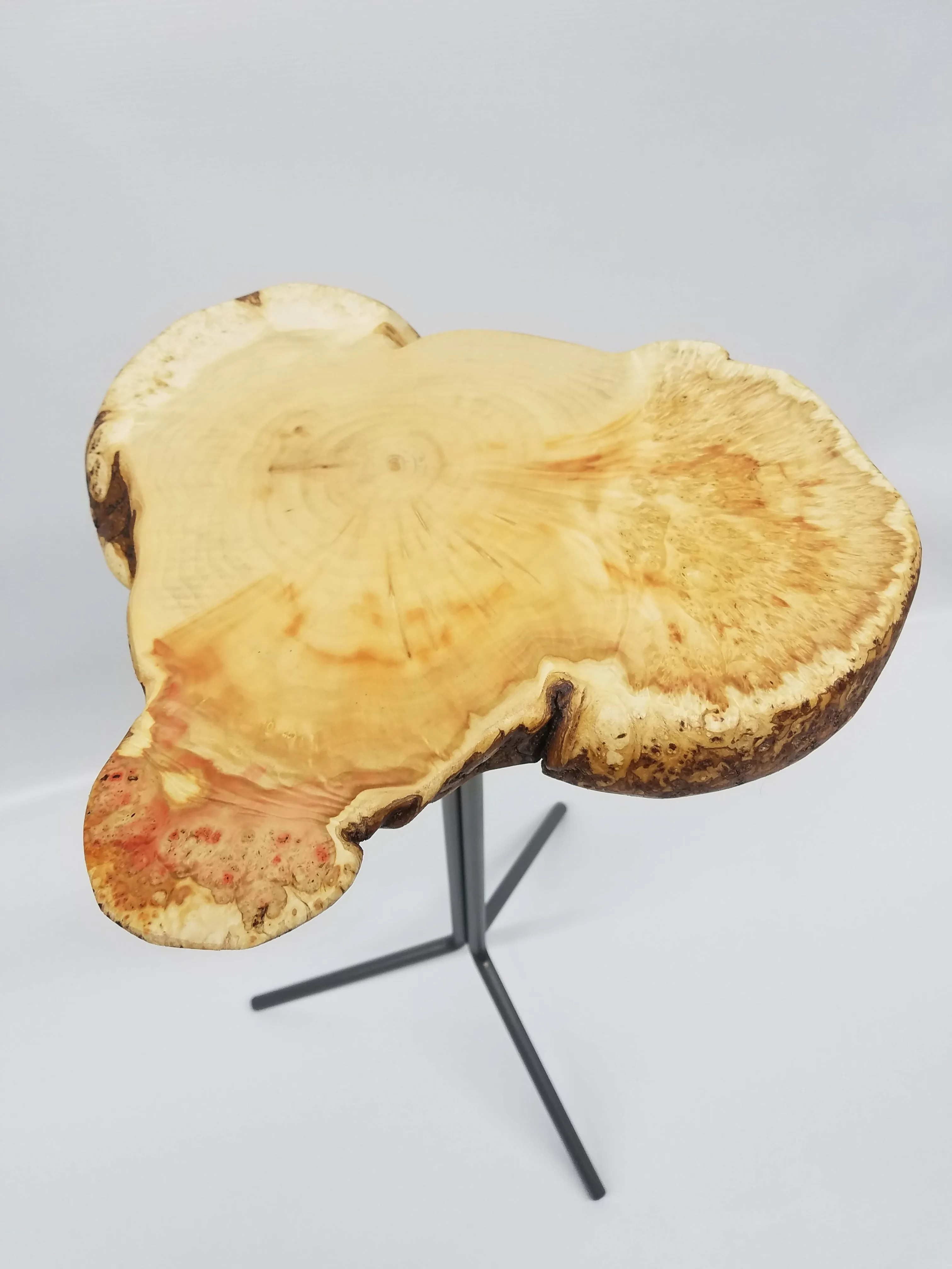 End Table- Side Table- Plant Stand- Maple Burl- Tree Slice- Live Edge- Natural Wood- Industrial- Mid Century- Cool Table- Gold- Red- Unique